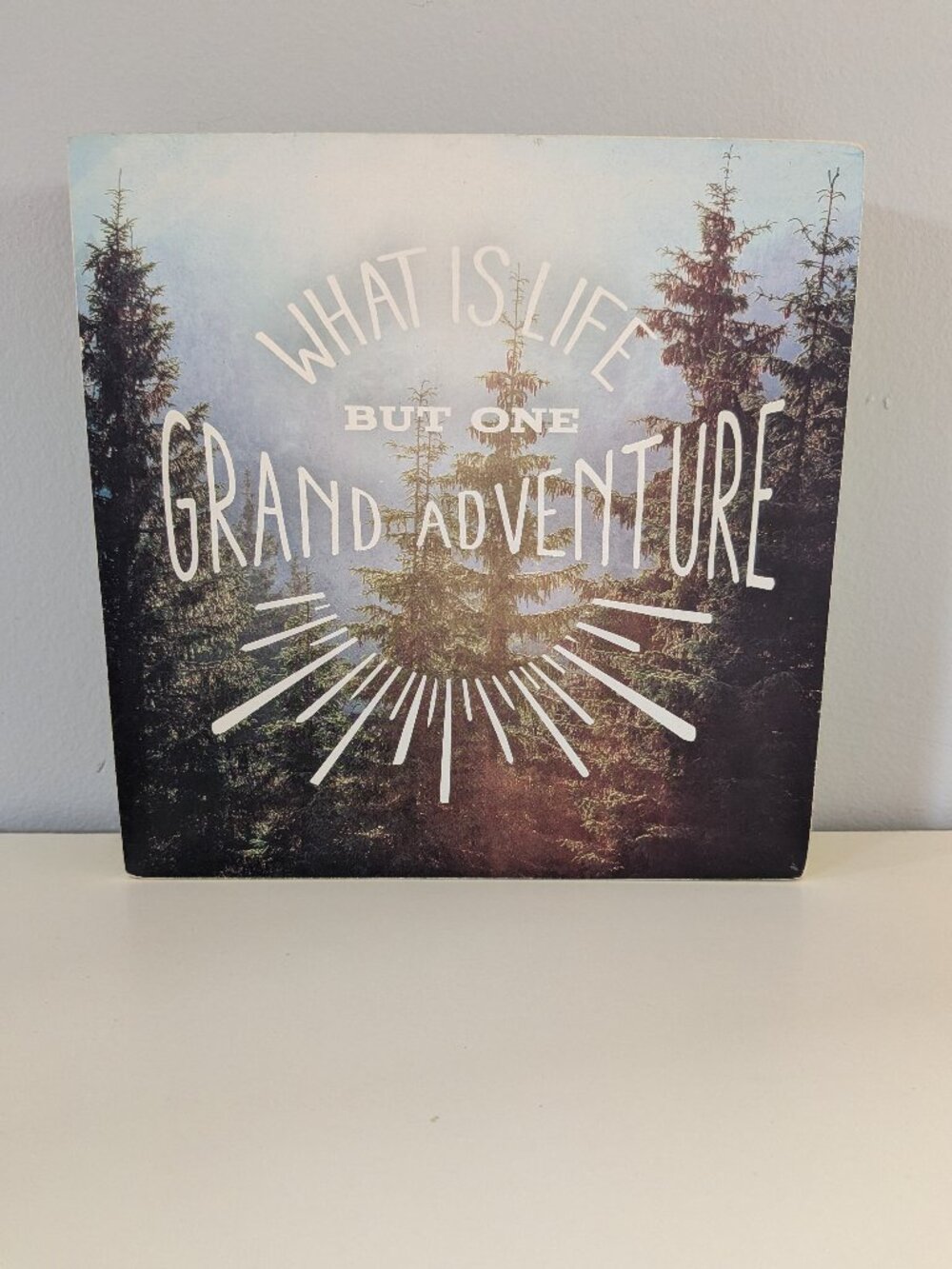 "What is Life but One Grand Adventure" Wooden Decor